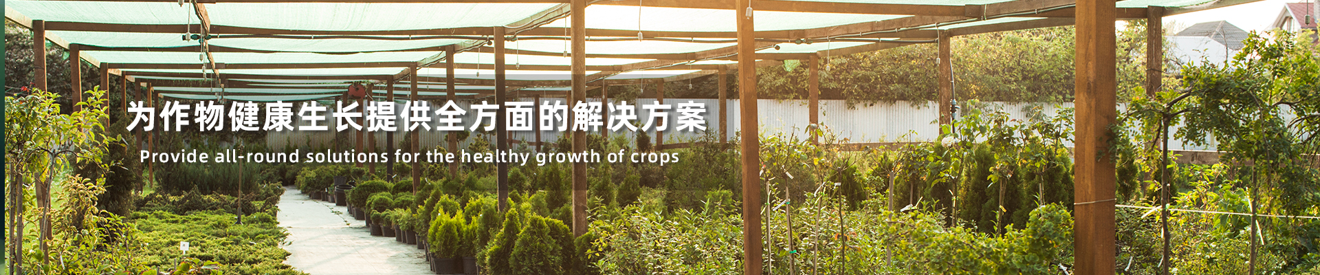 http://www.easw.com.cn/data/upload/202011/20201128095952_732.jpg